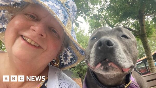 ‘My dog Gertie saved my life by helping to find my breast cancer’