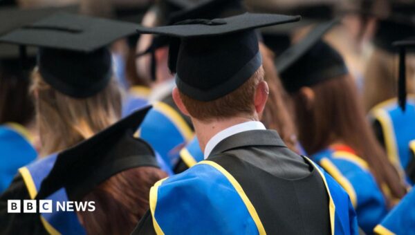 Find out which university degrees could earn you most across your lifetime
