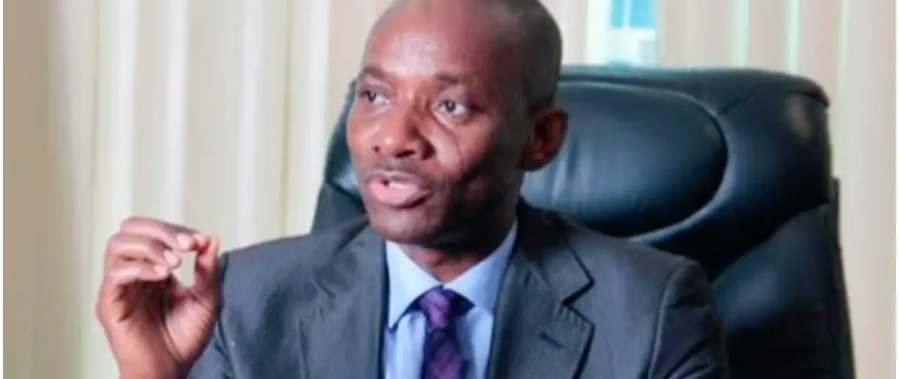 ‘You can’t stop people’ – Sam Amadi on NDC’s anti-defection policy