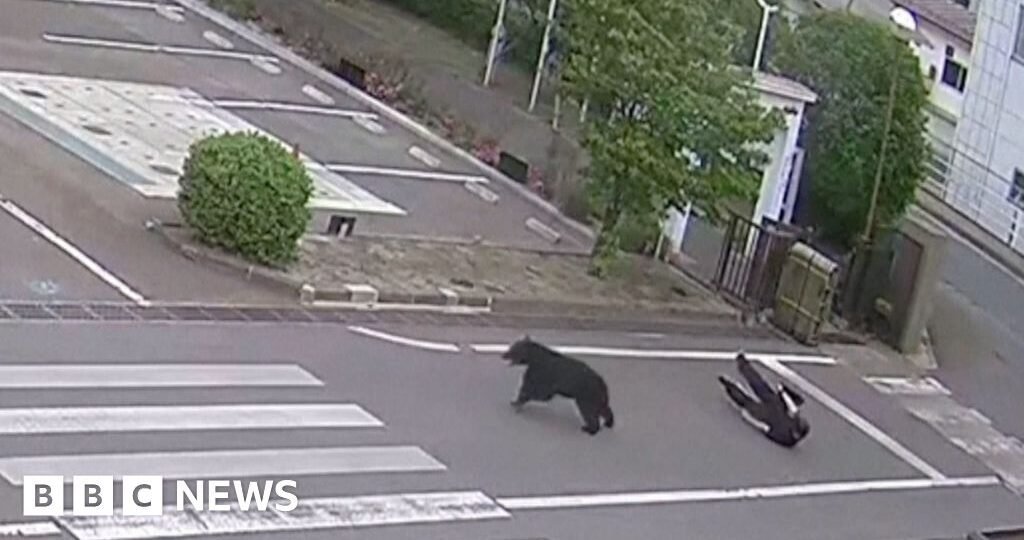 Watch: Man attacked by bear at steel works in Japan