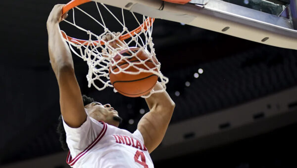 Indiana forward Sam Alexis wants to bring 'Big Ten physicality' to NBA