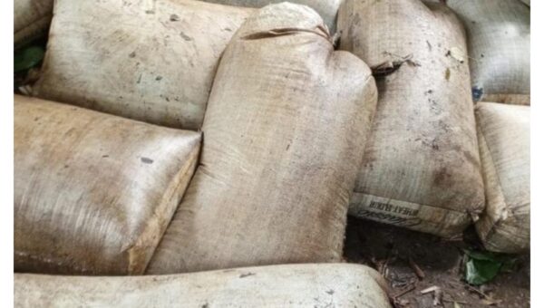 Niger Delta: Nigerian Navy recovers 92,660 litres of diesel in Rivers