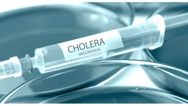 Borno Records 39 Deaths, 272 New Cases In Cholera Outbreak