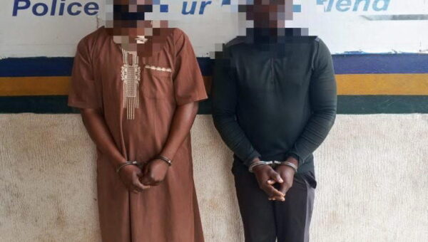 Police foil plot to kidnap Chinese national in Ogun