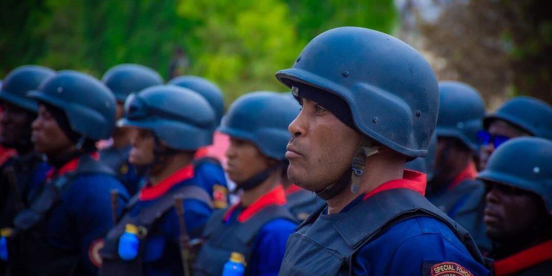 NSCDC operatives rescue two kidnap victims, foil cattle rustling in Kano