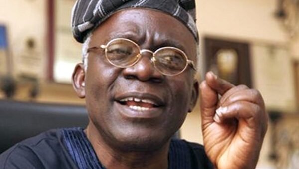 Falana urges Tinubu to recruit 1,000 forest guards for Borno