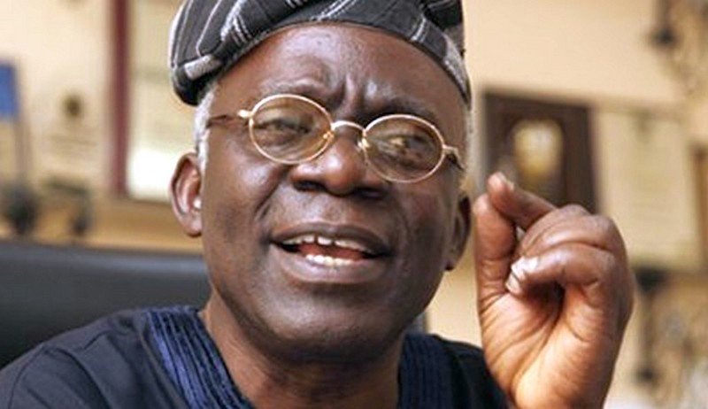 Falana urges Tinubu to recruit 1,000 forest guards for Borno