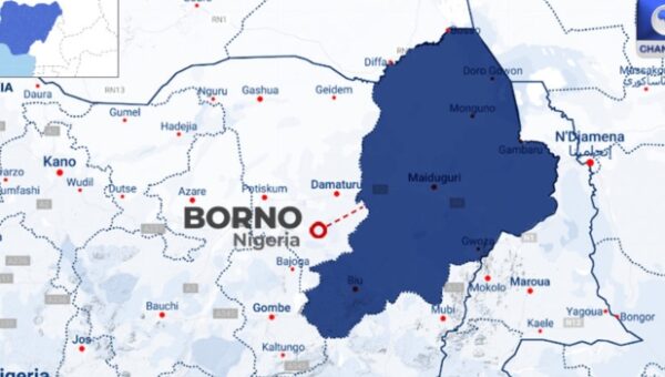 Five Soldiers, Three CJTF Members Killed As Troops Repel Terrorists’ Attack In Borno