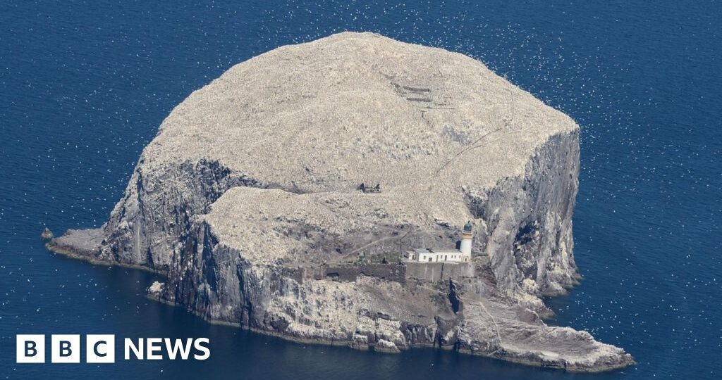 RSPB buys Bass Rock after 300 years in private hands