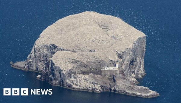 RSPB buys Bass Rock after 300 years in private hands