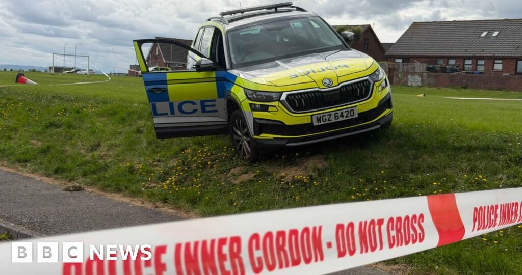 Man charged after officer struck by stolen police car