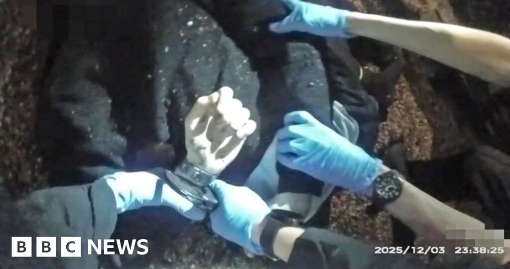 Murdered student Henry Nowak told police 'I can't breathe' while handcuffed