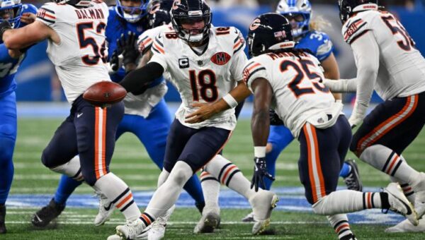 Bears haven't always called Chicago home