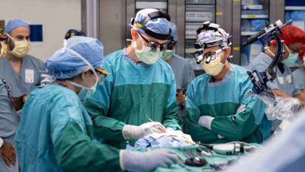 Neuralink competitor Paradromics just implanted its first brain-chip device. The next step is restoring speech.