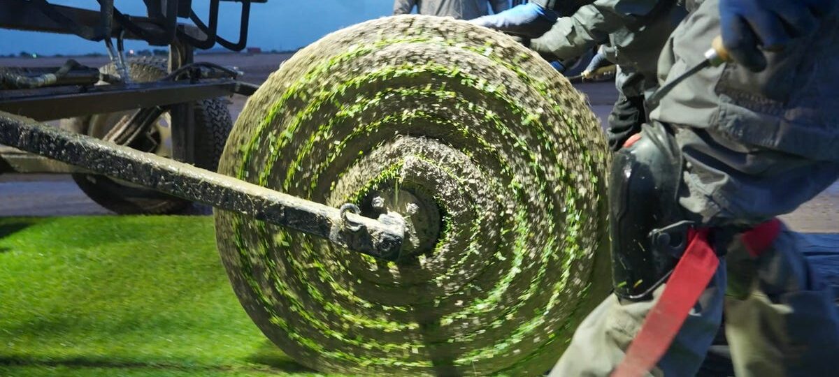 How FIFA spends millions on World Cup grass