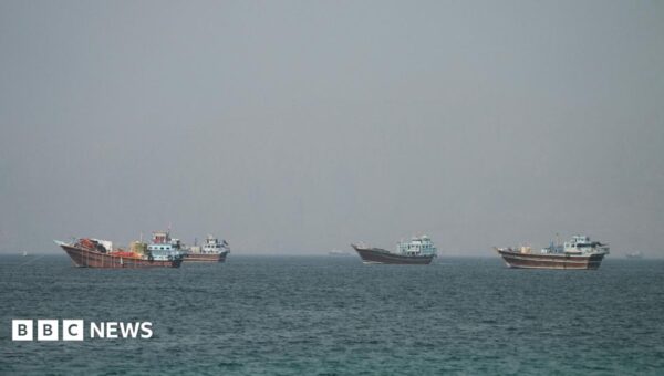 UN pauses Strait of Hormuz evacuation plan after cargo ship attacked