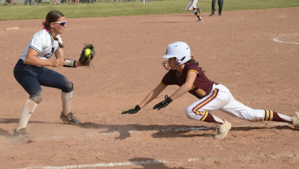 Softball season ends with losses for Airport, Whiteford, Summerfield