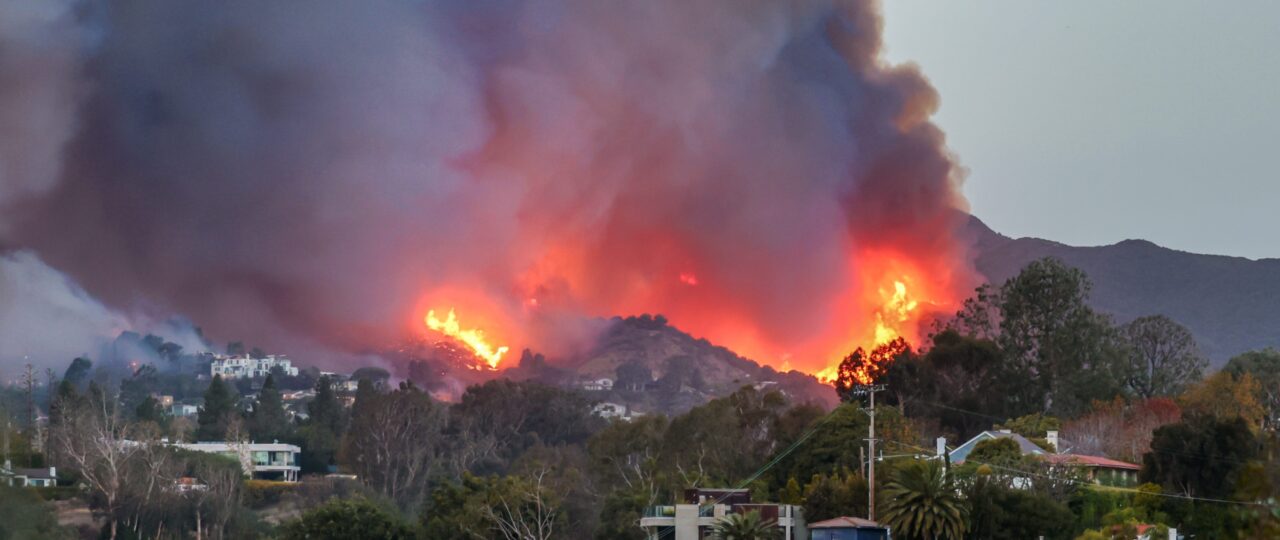 What Caused the Palisades Fire? Update on Suspect, Trial & More