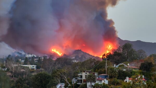 What Caused the Palisades Fire? Update on Suspect, Trial & More