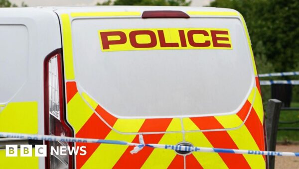 Arrest after man stabbed to death in south-east London
