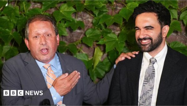 Clean sweep for Mamdani-backed candidates in New York’s Democratic primary