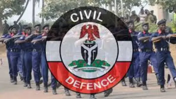 NSCDC arrests suspect over alleged theft of 60 litres of diesel from telecom facility in Edo