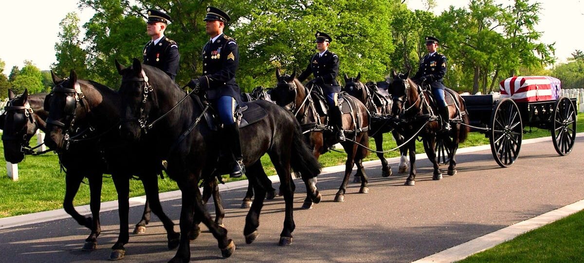 Inside the Army's $30 million effort to revamp its funeral horse program after a series of horse deaths