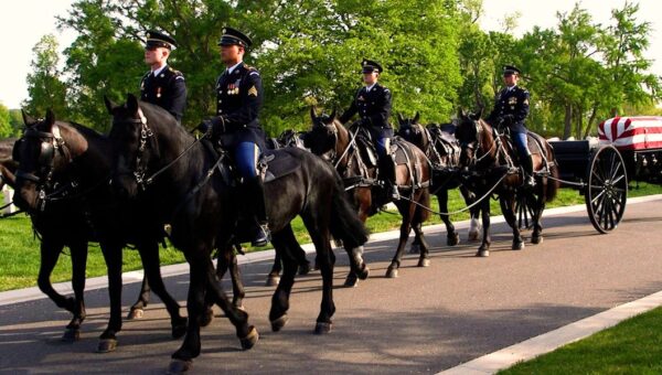 Inside the Army's $30 million effort to revamp its funeral horse program after a series of horse deaths