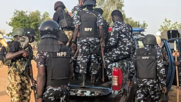 Adamawa police bans vigilante, Civilian JTF, other local security from LG polls