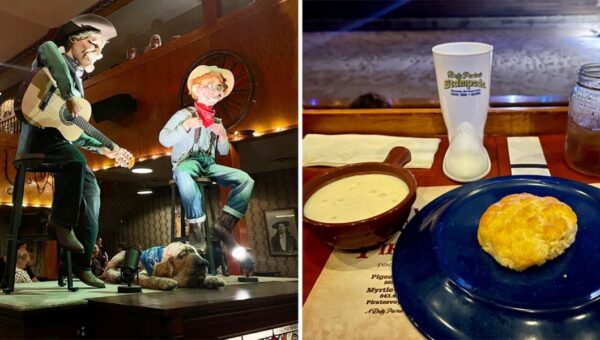 My party of 2 spent $160 for Dolly Parton’s famous dinner show. It was unlike anything I’ve ever experienced in my life.