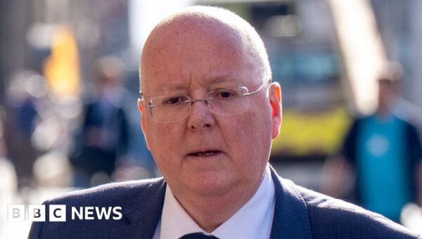 Peter Murrell to be sentenced for embezzling SNP funds