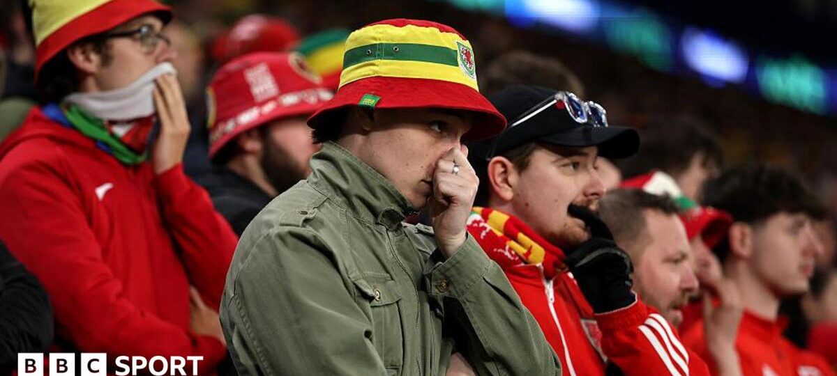 Cymru connections: Who can Wales fans back?