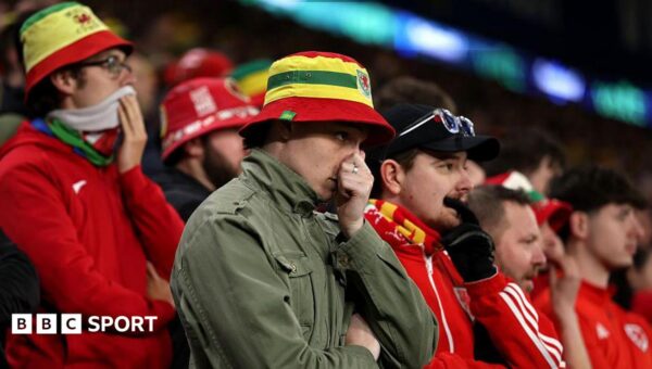 Cymru connections: Who can Wales fans back?