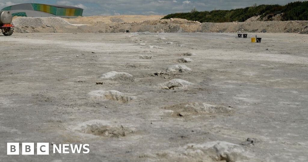 Dinosaur highway 'longest of its kind in the world'