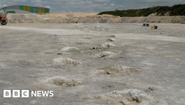 Dinosaur highway ‘longest of its kind in the world’