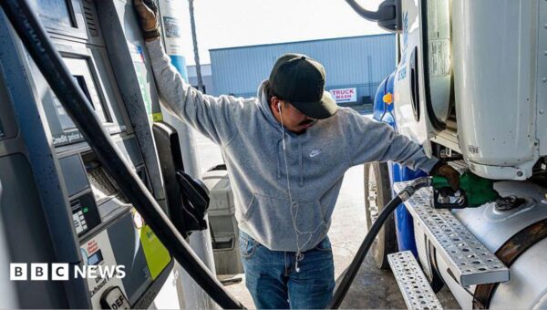 Trump accuses big oil firms of price-gouging drivers