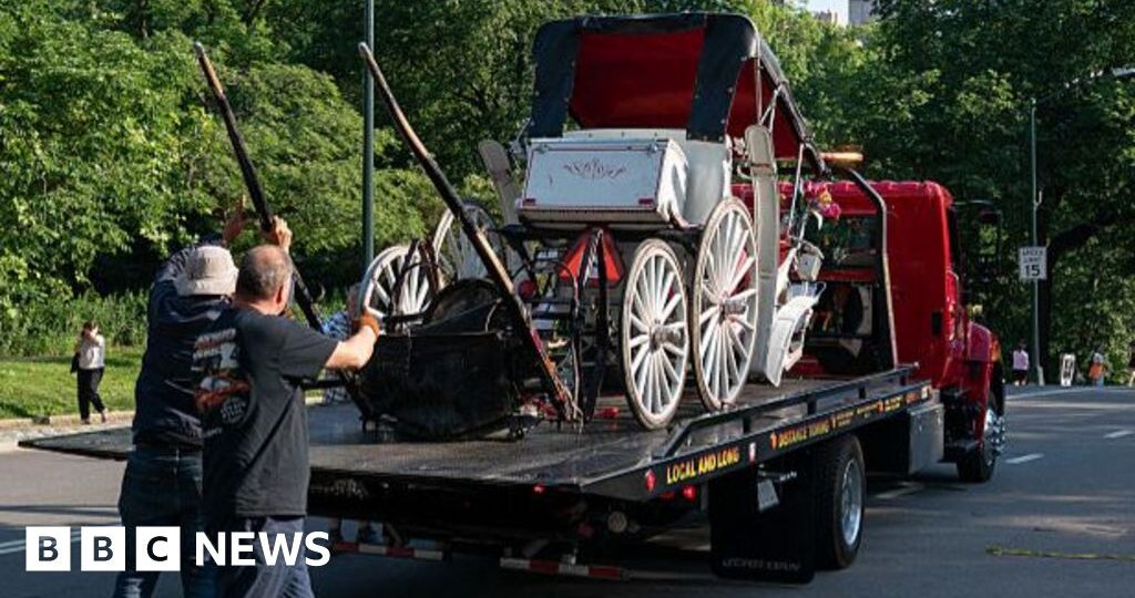 Teenager dies in horse-drawn carriage accident in New York