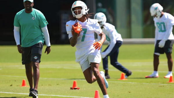 Two Dolphins rookies earning some respect from fantasy football expert