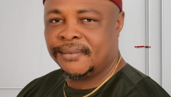 Deregistering ADC, others threatens 2027 elections – AA chair, Udeze