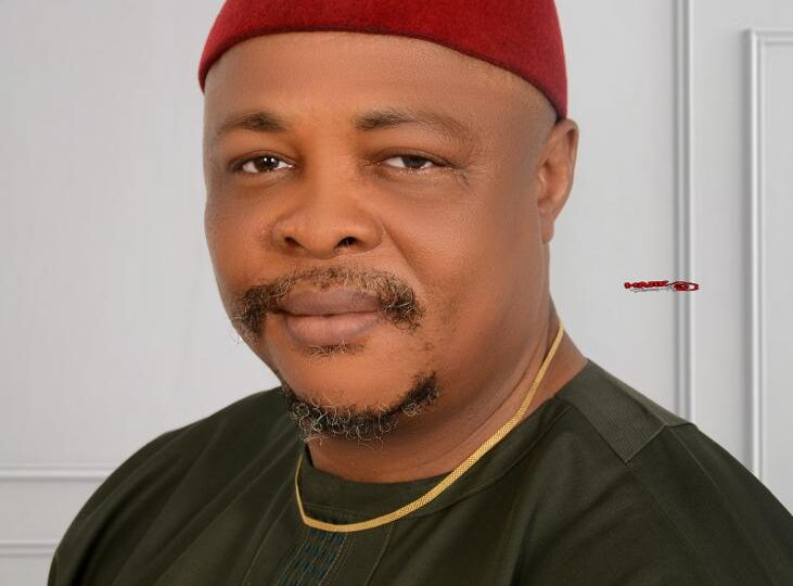 Deregistering ADC, others threatens 2027 elections – AA chair, Udeze