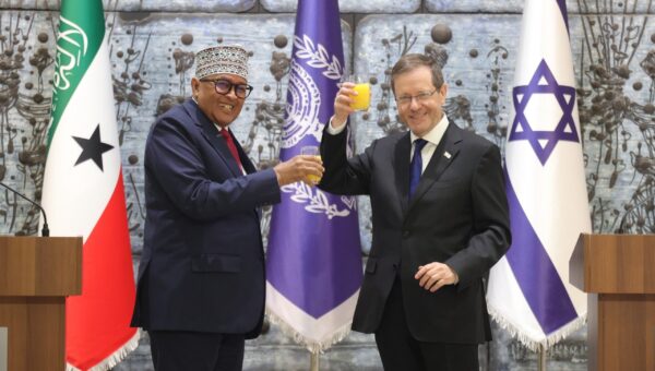 Somaliland President meets Herzog in historic visit to Israel