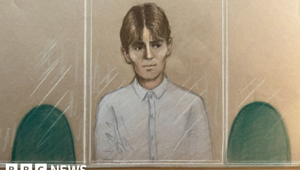 Norwegian teen was in UK to ‘undertake a hit’, court hears
