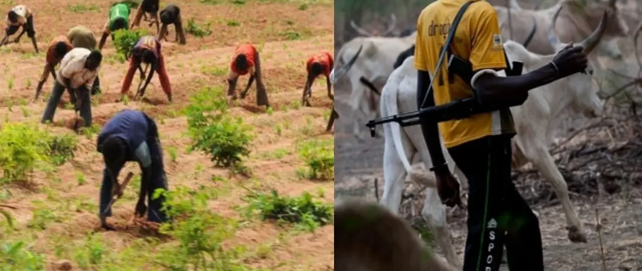 Farmers-herders clash claims eight lives in Kebbi