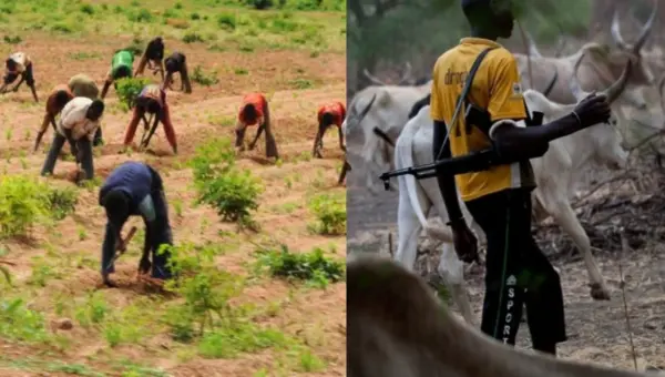 Farmers-herders clash claims eight lives in Kebbi