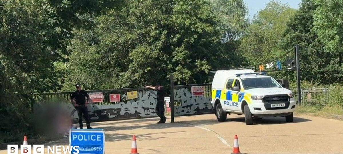 Body found in search for teenage swimmer in lake