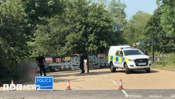 Body found in search for teenage swimmer in lake