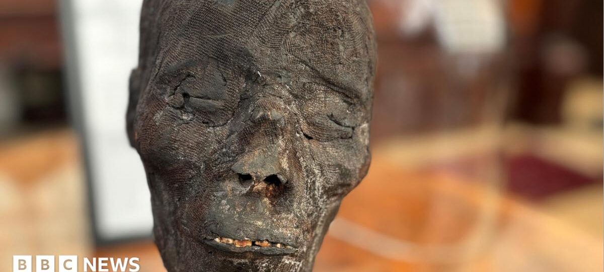 Auction house under fire over sale of 3,000-year-old mummy head