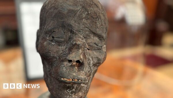 Auction house under fire over sale of 3,000-year-old mummy head