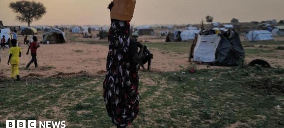 Sexual violence increasingly used as 'weapon of war' in Sudan, UN says