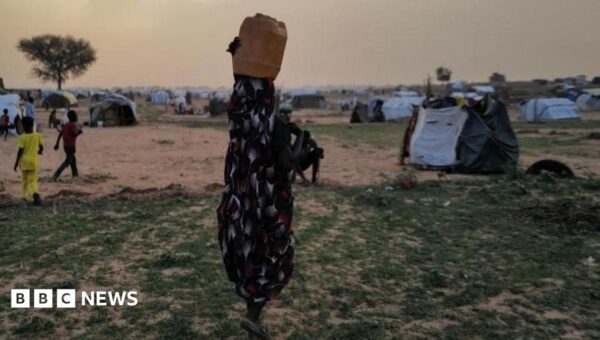 Sexual violence increasingly used as ‘weapon of war’ in Sudan, UN says